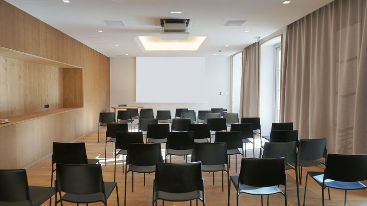 Ecran de projection ORAY dans un hôtel strasbourgeois