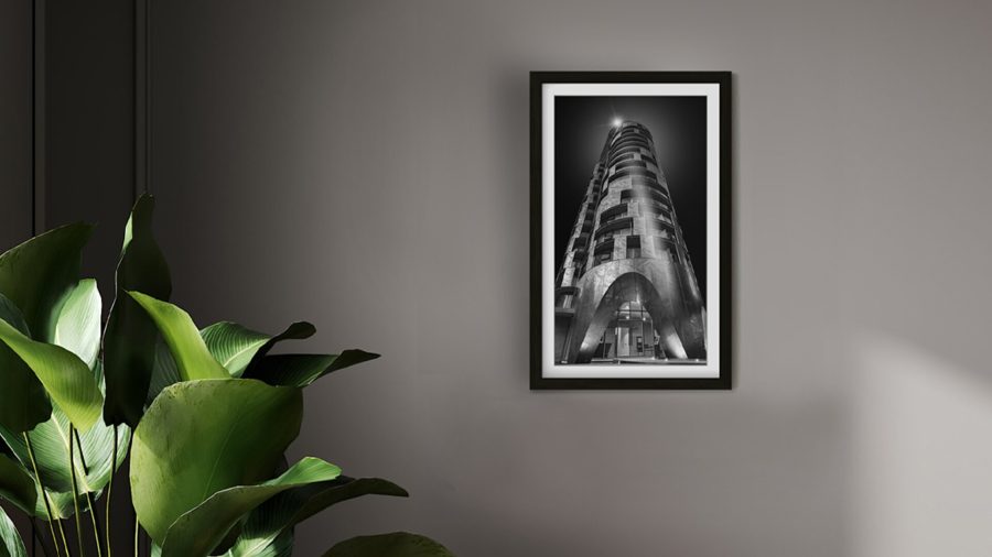Black Textura - Wall and Plant